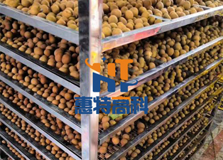 龍眼烘干機(jī)批發(fā)