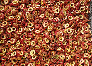 山楂烘干機——山楂烘干機新機器生產廠家