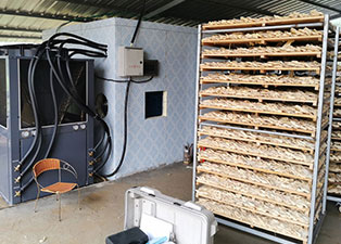 蘿卜烘干機設備