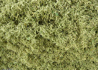 金銀花烘干機小型號的多少錢一臺