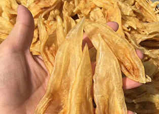 魚膠烘干機多少錢?