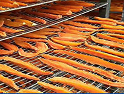 根莖類蔬菜干燥解決方案