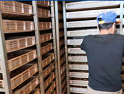 根莖類中藥材干燥解決方案