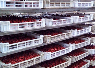 紅棗烘干了還有營養(yǎng)嗎？