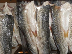 魚干產品干燥解決方案