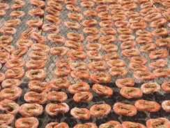 蝦米烘干解決方案