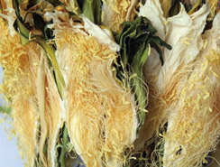 霸王花烘干解決方案