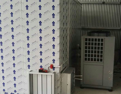 順德大良鯪魚烘干