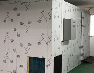 廣東云浮油茶籽烘干