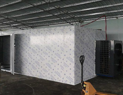 廣西藤縣茉莉花烘干