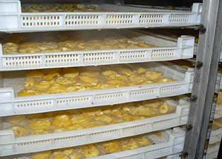 熱泵烘干機菠蘿干制作流程