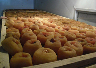 廣西柿子烘干——柿子烘干設備選惠特高科