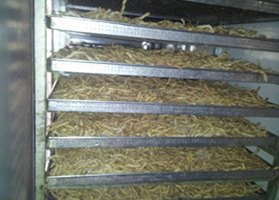 巴戟烘干機(jī)巴戟烘干設(shè)備——云浮巴戟烘干