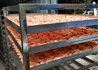 海蝦烘干機 海蝦烘干烘干房廠家批發烘干房