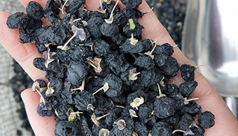 新疆黑枸杞烘干——空氣能熱泵黑枸杞烘干機