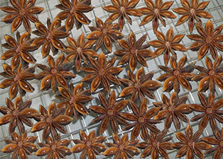 廣西八角——八角空氣能熱泵烘干機(jī)