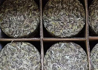 白茶烘干工藝