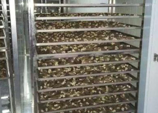 羊肚菌烘干工藝