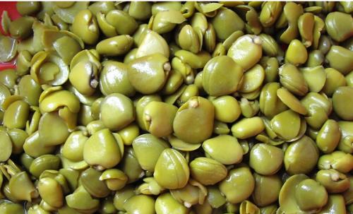 欖錢空氣能烘干機——欖錢烘干工藝