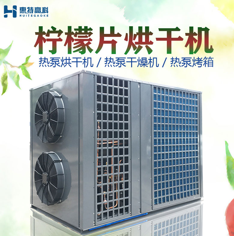 檸檬片烘干機 檸檬片烘干機